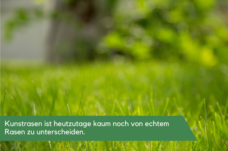 Eine satte grüne Wiese