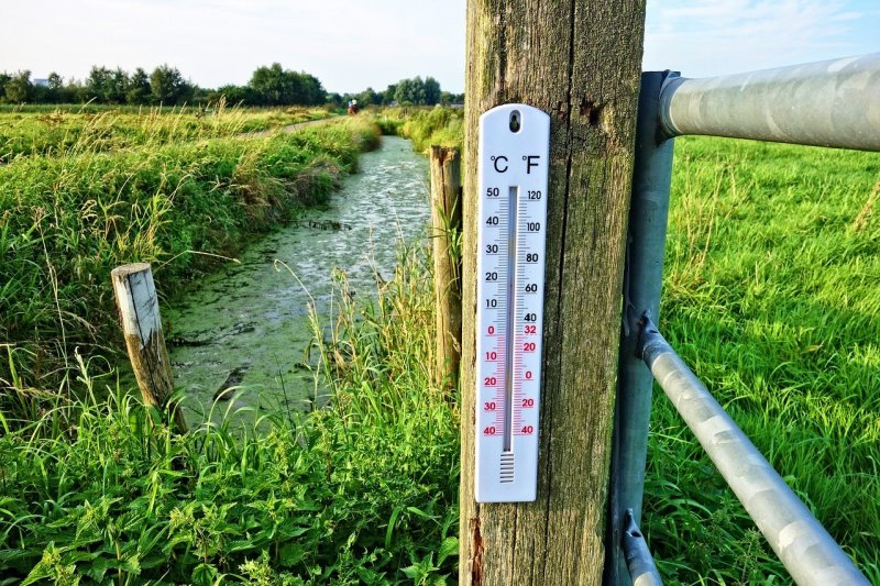 Ein Thermometer hängt im Freien an einem Zaun auf einer Wiese