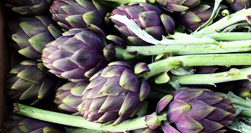 Strauß violette Artischocken Violette Artischocken