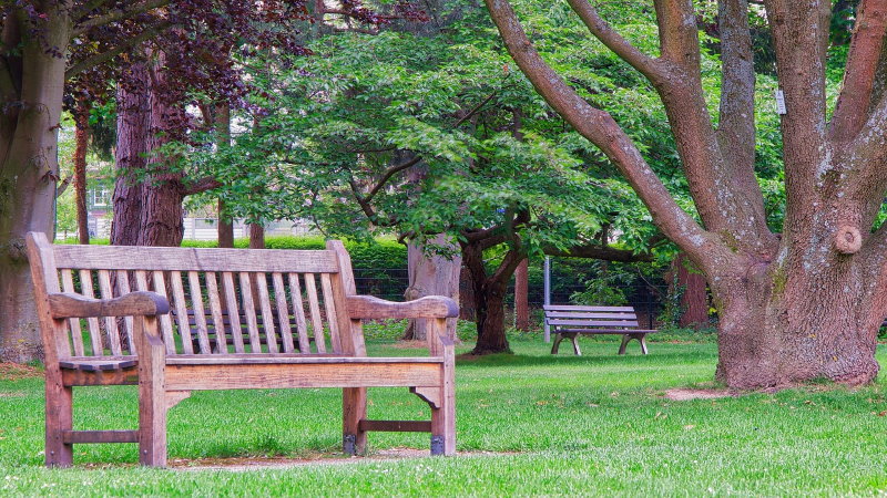 eine Bank aus Holz in einem Park eine Bank in einem Park