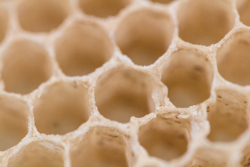 Bienenwachs Wabe