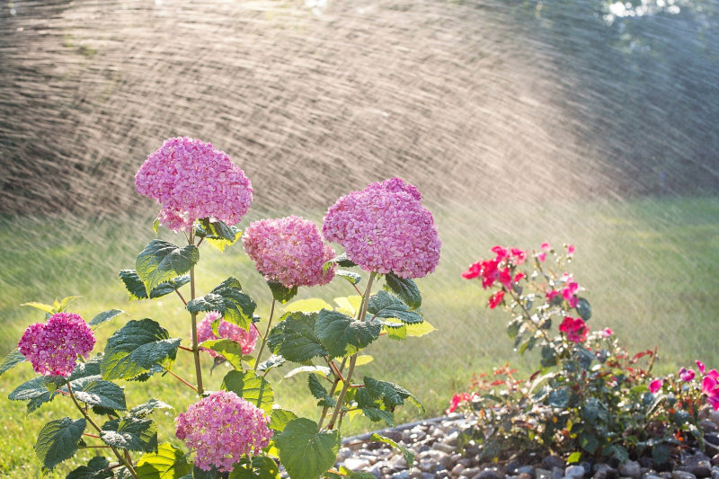 Bewässerungscomputer gießt die Blumen selbstständig