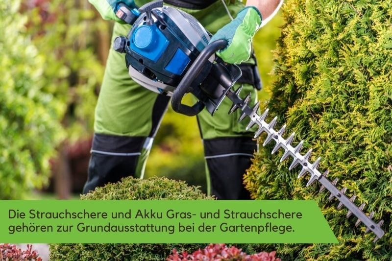 Ein Gärtner schneidet eine Hecke mit einer Akku Strauchschere