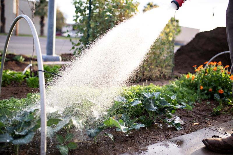 Gartenbrausen im Test Die richtige Bewässerung mit einer Gartenbrause