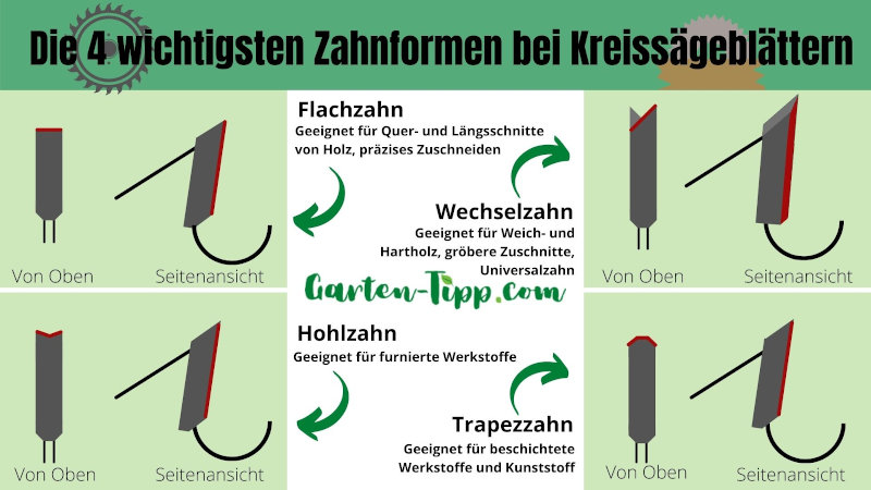 Infografik zu unterschiedlichen Sägezahn-Arten