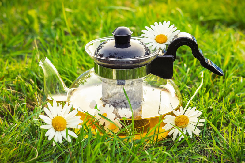 Tee aus der Blüte der Kamille Kamillentee hergestellt aus getrockneten Blüten