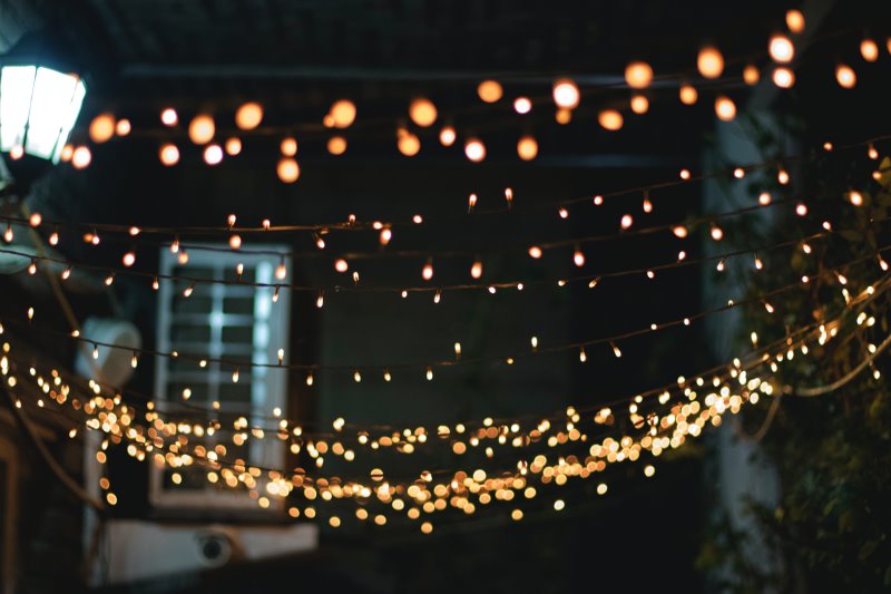 Lichternetze verschönern Deinen Garten.