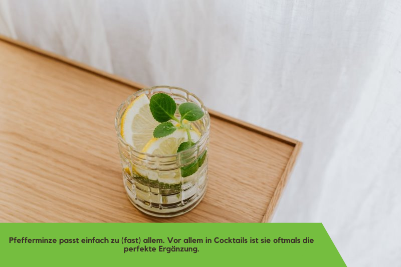 Pfefferminze im Cocktailglas