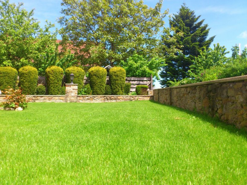 Rasen mit Gartenmauer Getrimmter Rasen im Garten