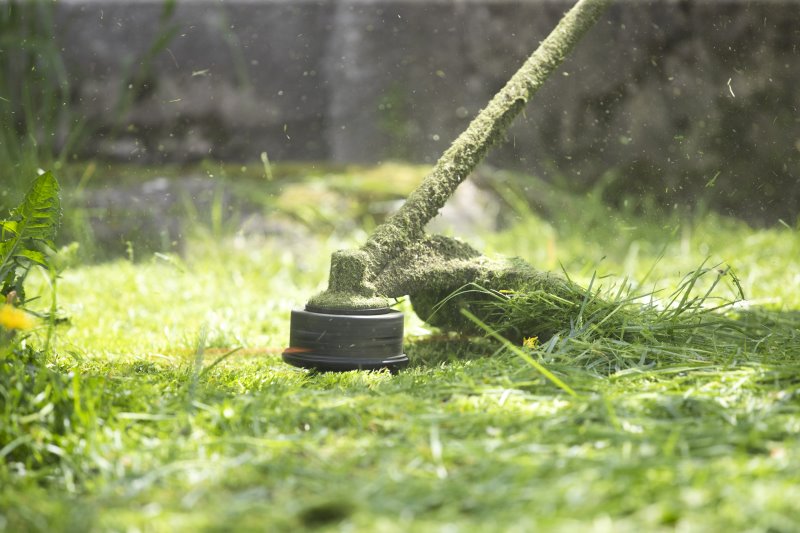Ein Rasenkantenschneider mäht Gras Ein Rasenkantenschneider mäht Gras