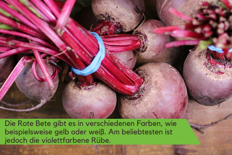 Rote Bete Knollen