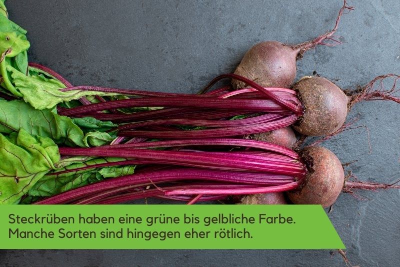 Steckrübe mit Stiel