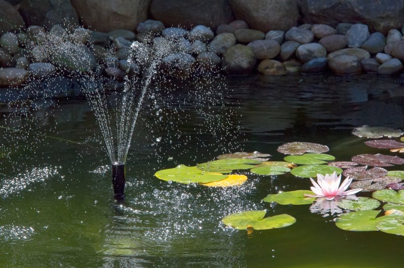 Wasserspielpumpe mit Strahlenfontäne Wasserspielpumpe mit Strahlenfontäne