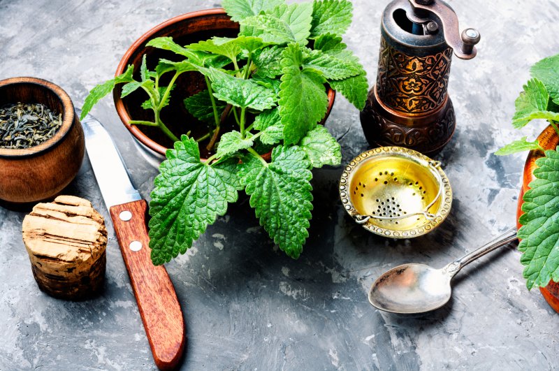 zitronenmelisse-rezept-ideen-kueche Zitronenmelisse in der Küche