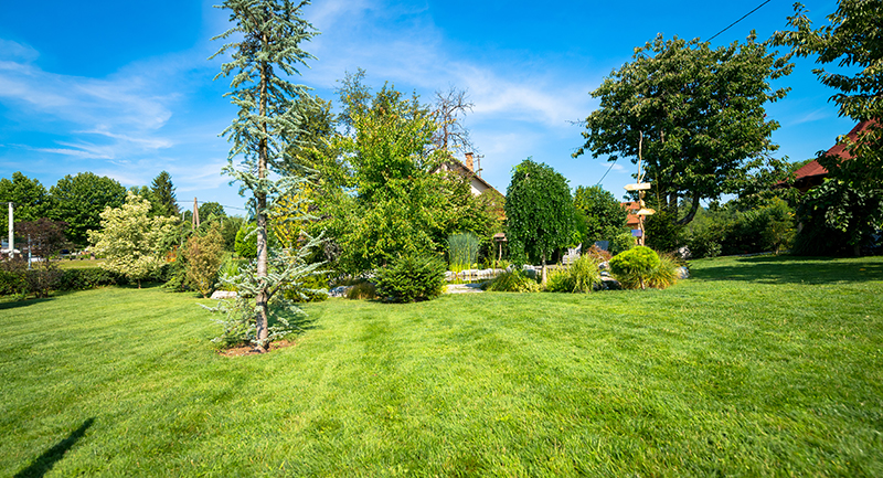 Blick auf den Garten
