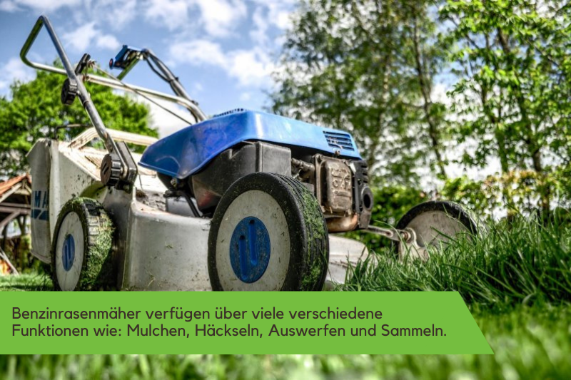 Benzinrasenmaeher im Profil.