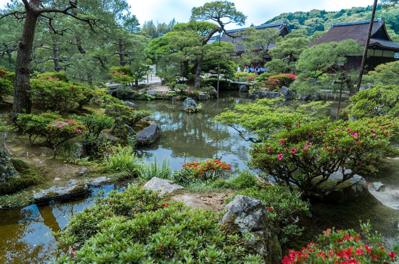 Ein japanischer Gartenteich Ein Gartenteich im japanischen Stil