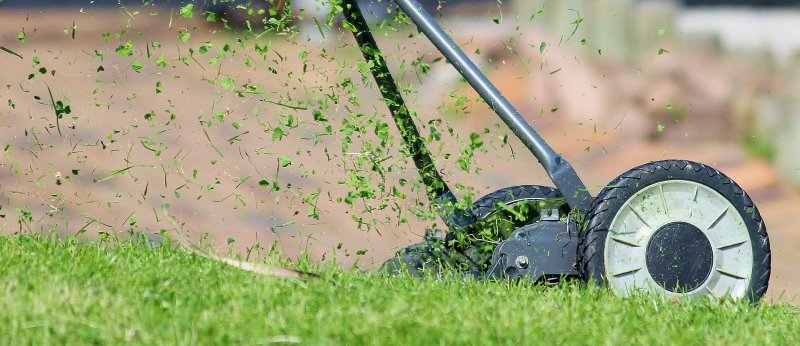 Gras wird gemäht