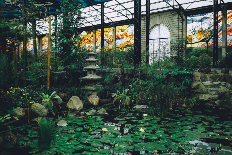 Ein natürlicher Gartenteich Ein Naturbelassener Teich mit japanischem Flair