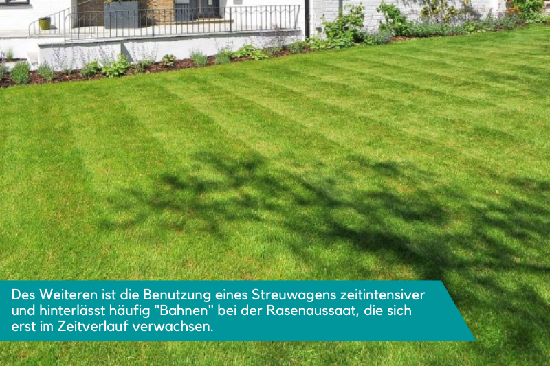 Ein Rasen der Streifen aufweist