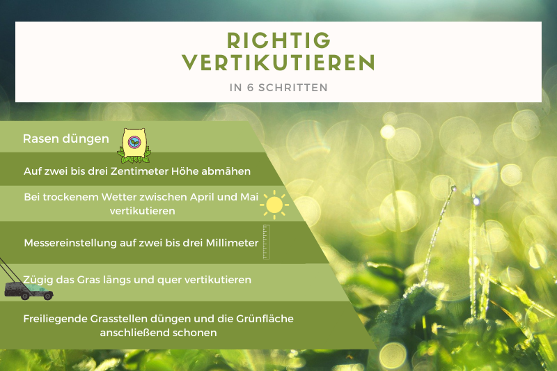 richtig vertikutieren Infografik