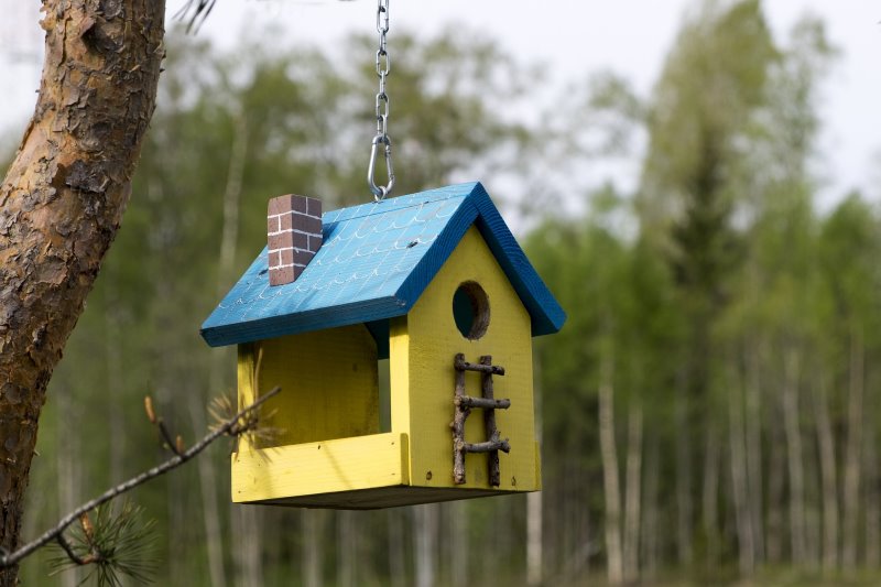 Vogelhäuschen in der Nähe eines Baumes Ein Vogelhaus in einem Waldstück.