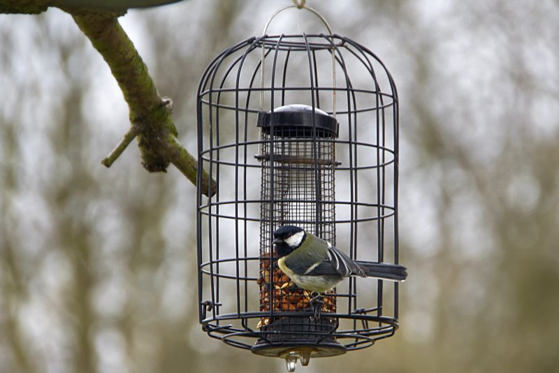 Futtersaeule fuer die Vogelfuetterung im Garten
