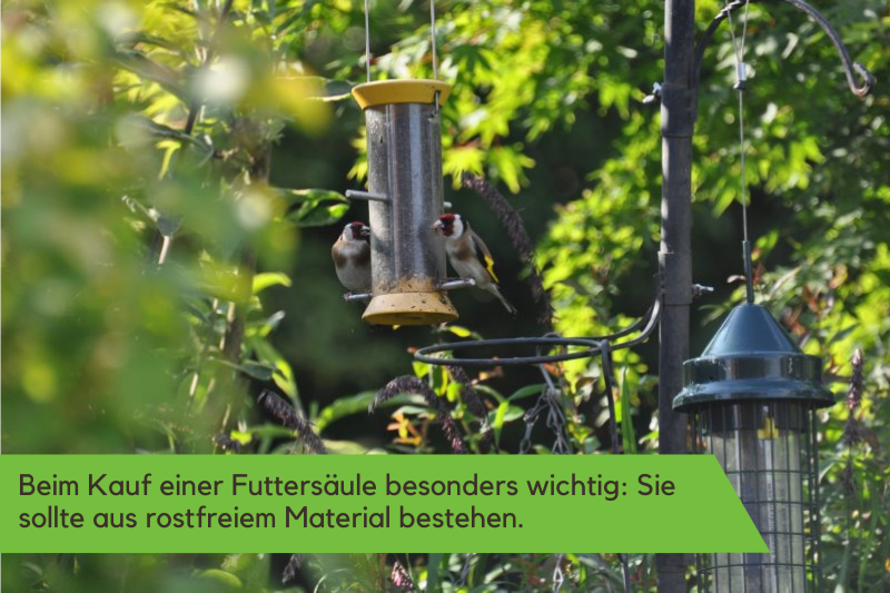 Futtersaeulen sollten aus rostfreiem Material bestehen